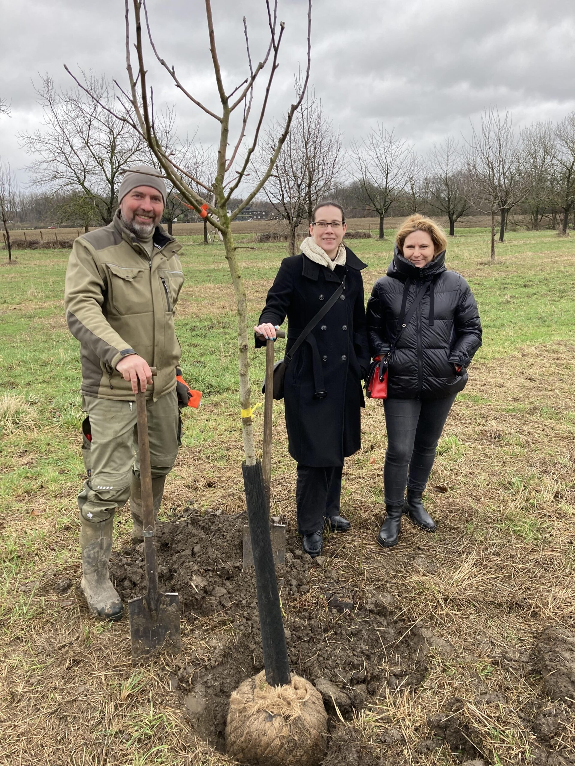 Jochen Helle, Anne Henter, Daniela Bristot pflanzen einen Apfelbaum auf der Streuobstwiese